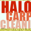 Shalom Carpet cleaning